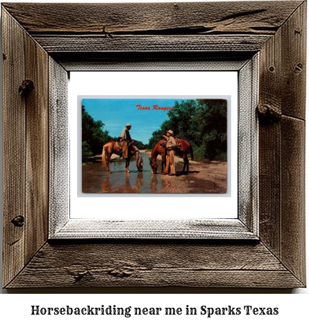 horseback riding near me in Sparks, Texas